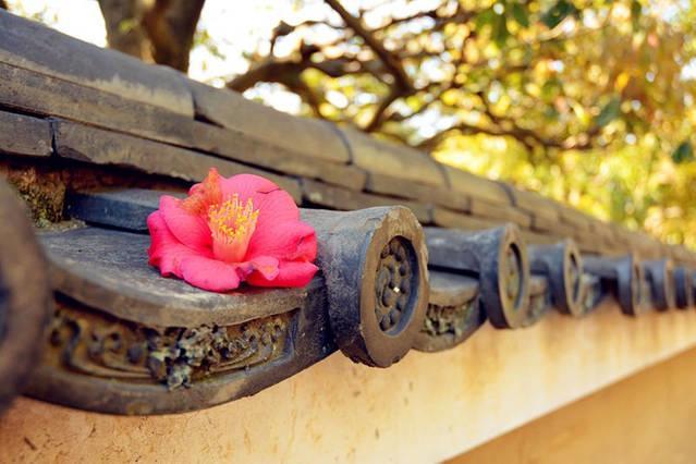 Art Stay In Tofukuji Kyoto Exterior photo